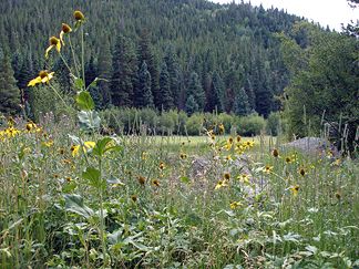 Hiking Fern Lake and Cub Lake trails in RMNP