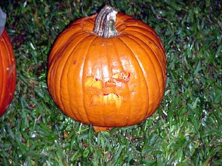 Pumpkin Contest