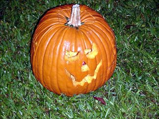 Pumpkin Contest